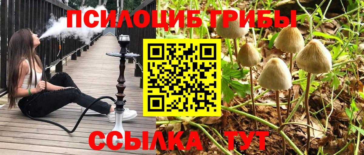 Галлюциногенные грибы прущие грибы Нурлат